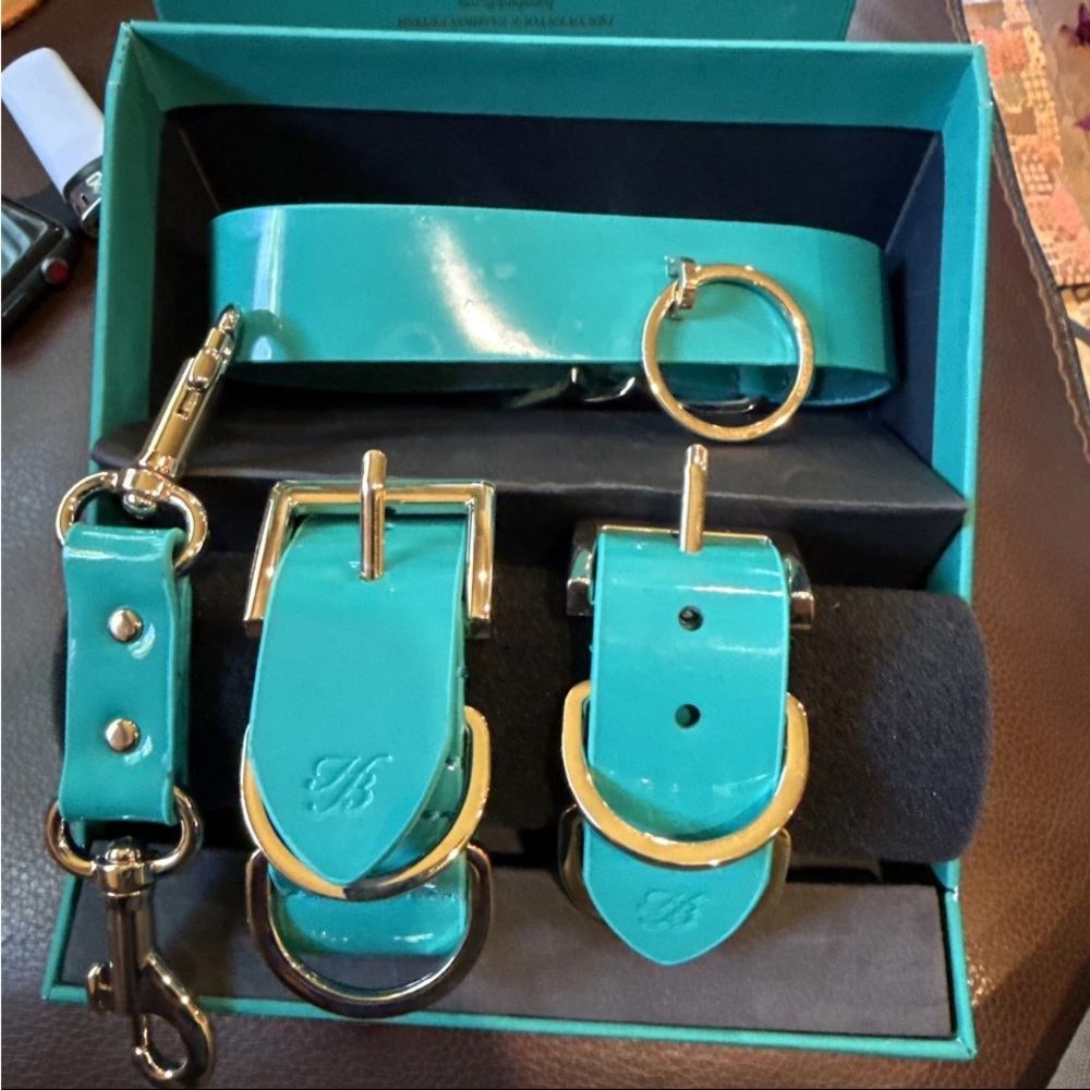 NWOT Honey Birdette Kukuro Bondage Kit Jade Leather Handcuff & Collar Leash - Picture 3 of 4